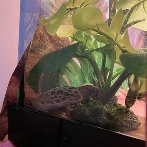 Meet your Posher, Jillian